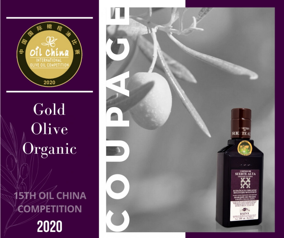 Coupage Natural gana Gold Olive Organic en Oil China 2020